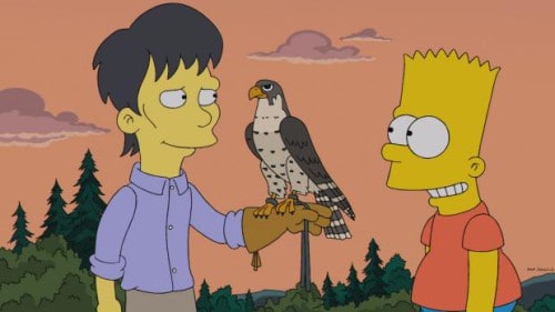 Bart lernt in der Schule einen Jungen namens Diggs kennen. Diggs ist ein wenig seltsam und hat ein außergewöhnliches Hobby, die Falknerei. Bart ist im Gegensatz zu seinen Mitschülern fasziniert von ihm und heftet sich an seine Fersen. Irgendwann glaubt Diggs, fliegen zu können und springt von einem Baum. Das hat verheerende Folgen: Er überlebt z...