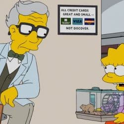 Lisa und das liebe Vieh - 27. Staffel der Simpsons