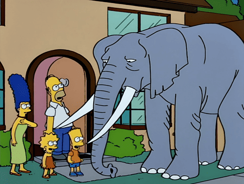 Bart gewinnt Elefant!