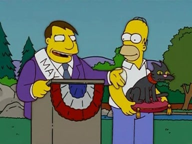 Die Helden von Springfield