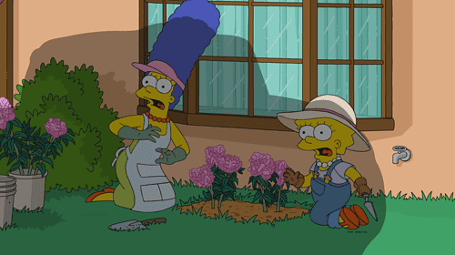 Panik in den Straßen von Springfield