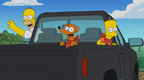 Panik in den Straßen von Springfield